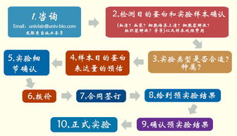 優寧維公司隆重推出專業抗體相關實驗技術服務，賦能生命科學研究